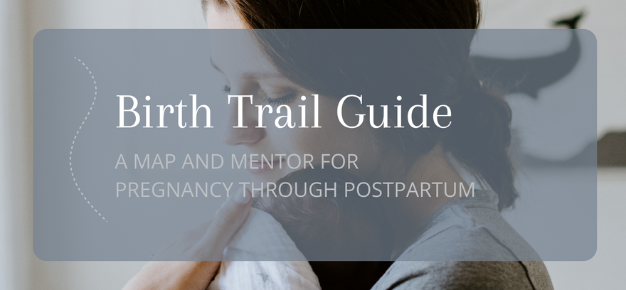 Birth Trail Guide: A Map and Mentor for Pregnancy through Postpartum