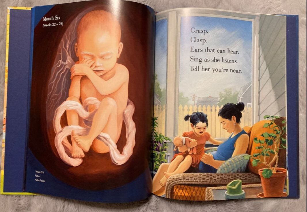 Children's book Nine Months prepares older siblings for new baby