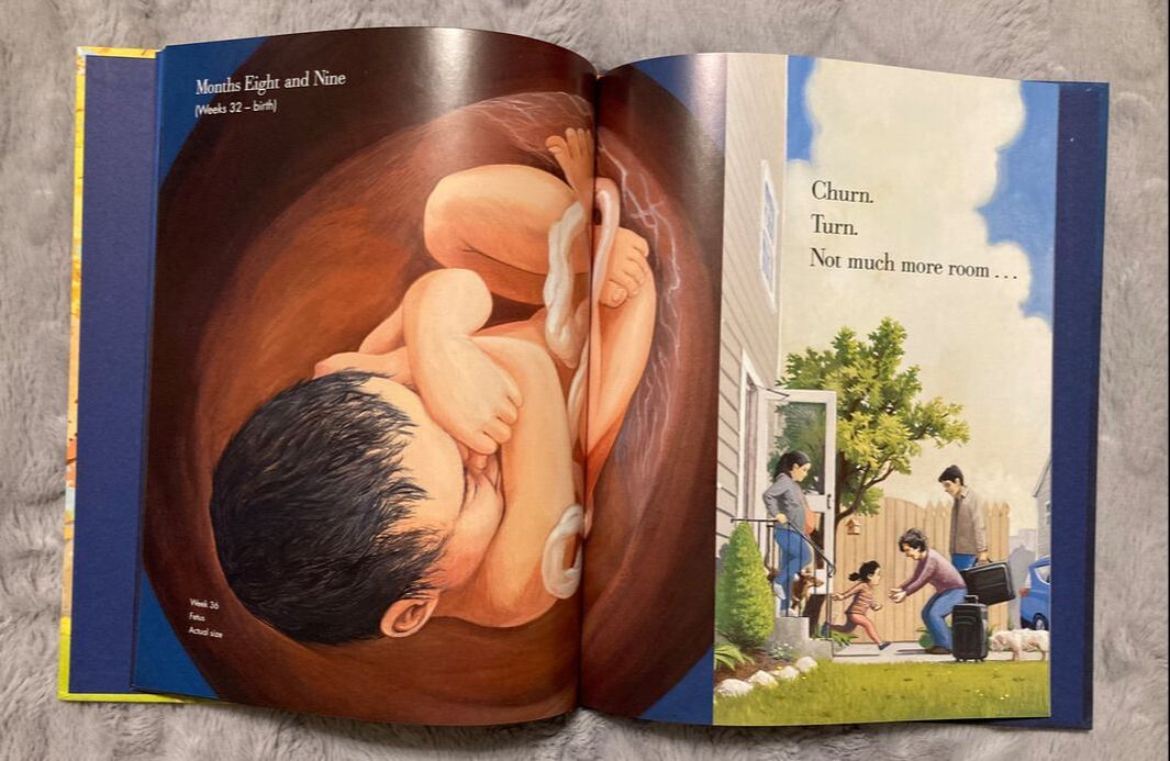 Nine Months: a children's book about pregnancy and birth