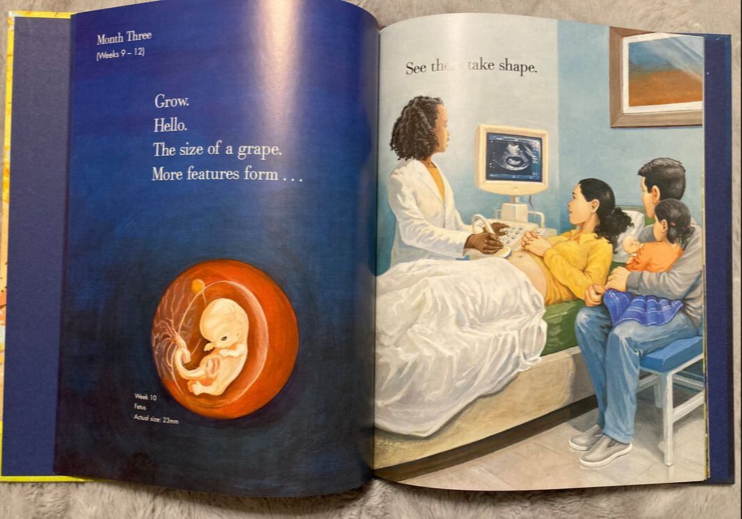 Kid-friendly book about pregnancy